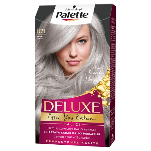 PALETTE Deluxe 50ml U71 Icy Silver